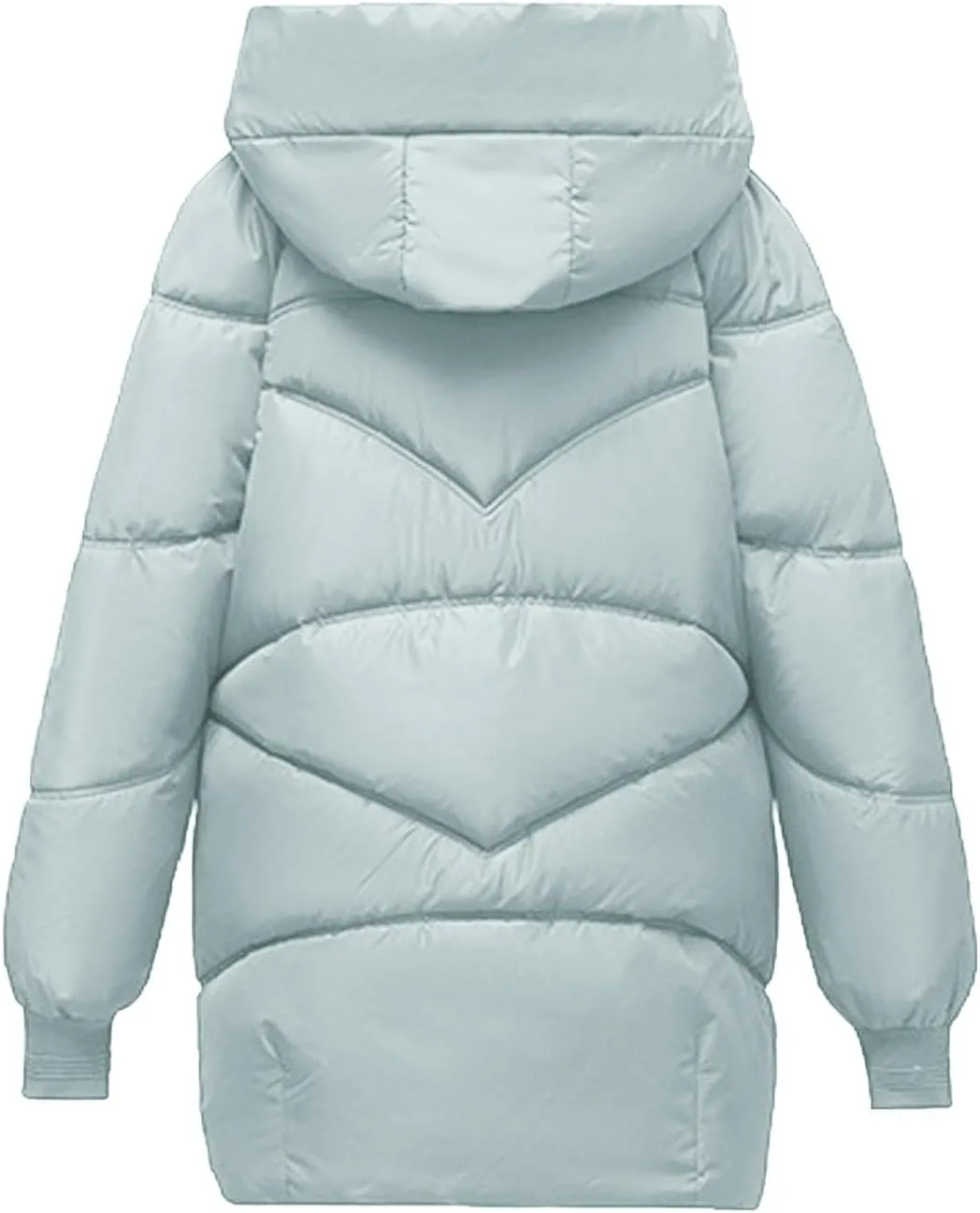 Women's Windproof Down Coats Winter Coats Hooded Thermal Jackets & Coats Plus Size Lightweight Puffer Jackets Outerwear