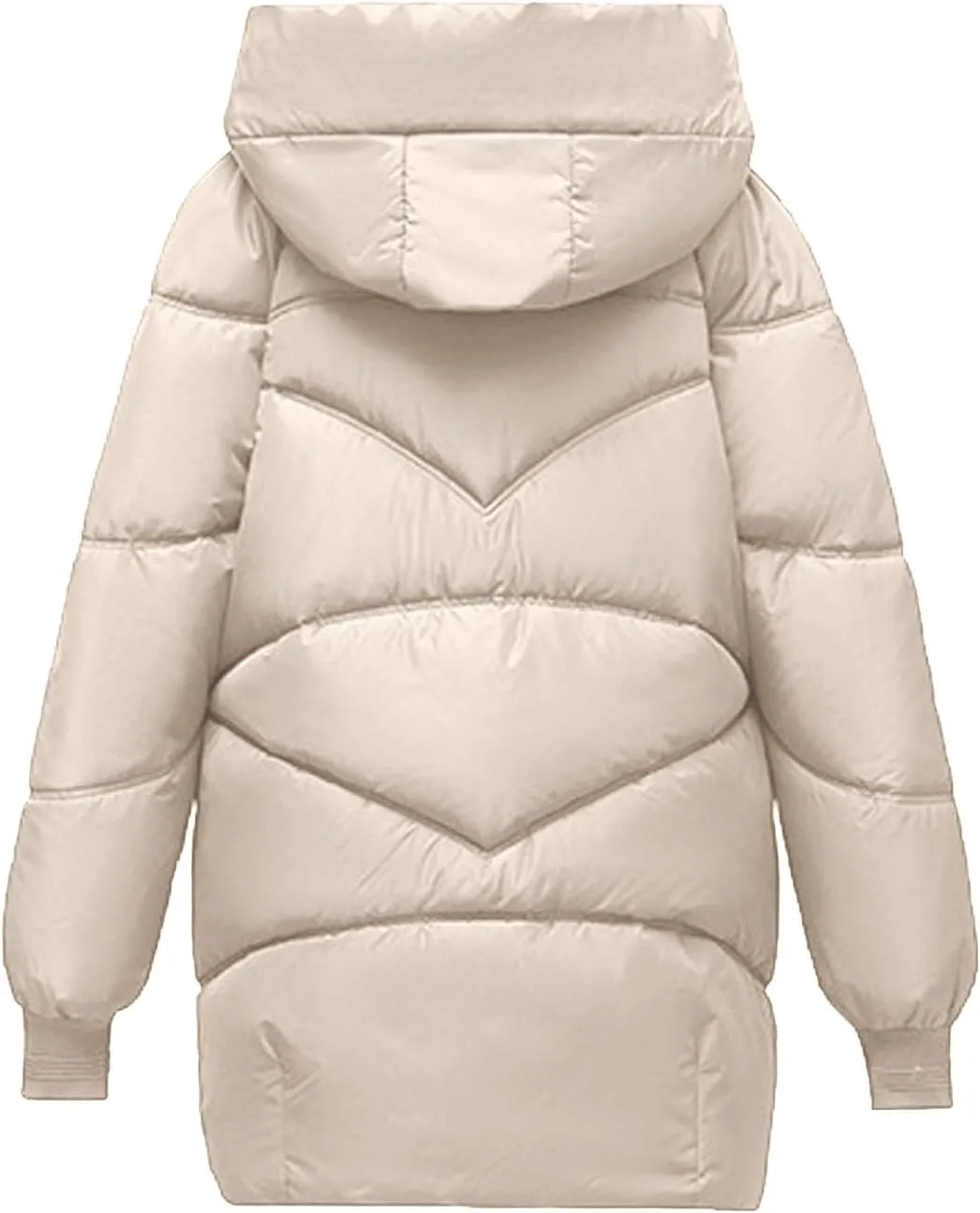 Women's Windproof Down Coats Winter Coats Hooded Thermal Jackets & Coats Plus Size Lightweight Puffer Jackets Outerwear